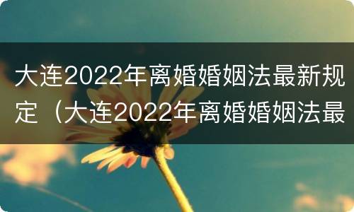 大连2022年离婚婚姻法最新规定（大连2022年离婚婚姻法最新规定是）
