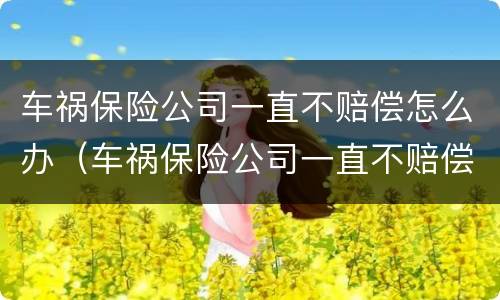 车祸保险公司一直不赔偿怎么办（车祸保险公司一直不赔偿怎么办理）