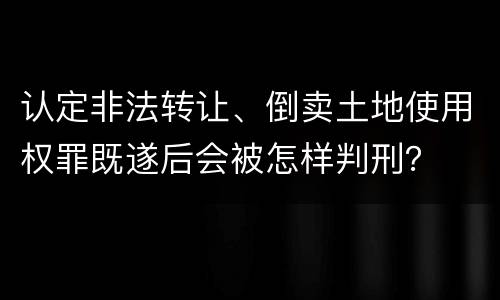 认定非法转让、倒卖土地使用权罪既遂后会被怎样判刑？