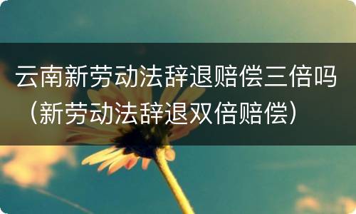 云南新劳动法辞退赔偿三倍吗（新劳动法辞退双倍赔偿）