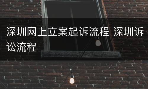 深圳网上立案起诉流程 深圳诉讼流程
