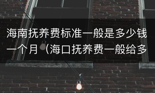 海南抚养费标准一般是多少钱一个月（海口抚养费一般给多少）
