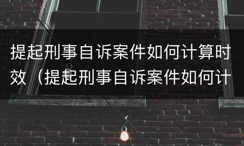 提起刑事自诉案件如何计算时效（提起刑事自诉案件如何计算时效呢）