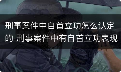 刑事案件中自首立功怎么认定的 刑事案件中有自首立功表现