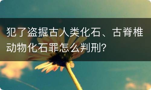 犯了盗掘古人类化石、古脊椎动物化石罪怎么判刑？
