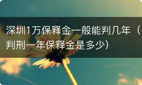 深圳1万保释金一般能判几年（判刑一年保释金是多少）