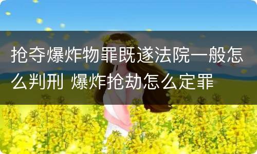 抢夺爆炸物罪既遂法院一般怎么判刑 爆炸抢劫怎么定罪