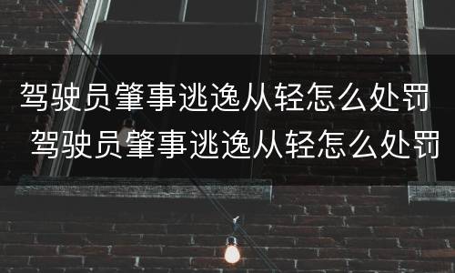 驾驶员肇事逃逸从轻怎么处罚 驾驶员肇事逃逸从轻怎么处罚的