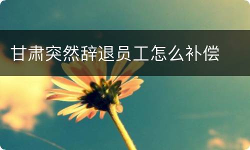 甘肃突然辞退员工怎么补偿