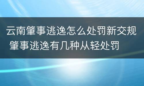云南肇事逃逸怎么处罚新交规 肇事逃逸有几种从轻处罚