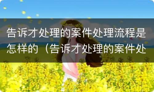 告诉才处理的案件处理流程是怎样的（告诉才处理的案件处理流程是怎样的程序）