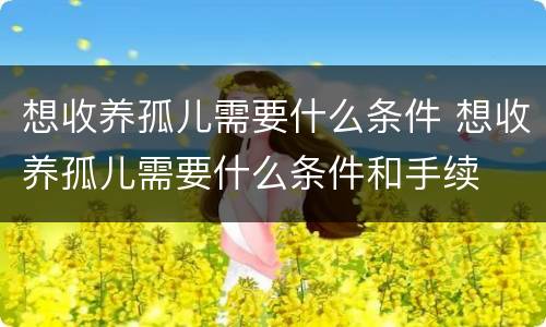 想收养孤儿需要什么条件 想收养孤儿需要什么条件和手续