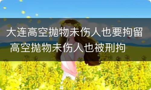 大连高空抛物未伤人也要拘留 高空抛物未伤人也被刑拘