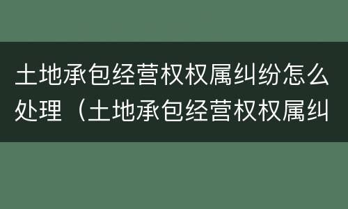 土地承包经营权权属纠纷怎么处理（土地承包经营权权属纠纷怎么处理的）