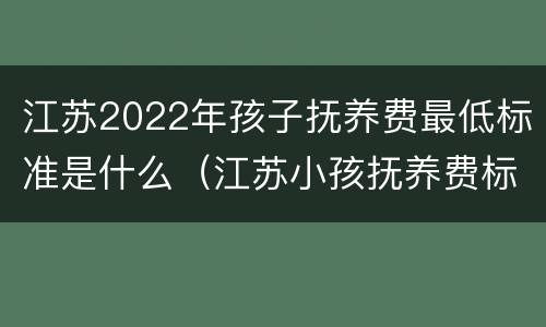 江苏2022年孩子抚养费最低标准是什么（江苏小孩抚养费标准一月多少钱）