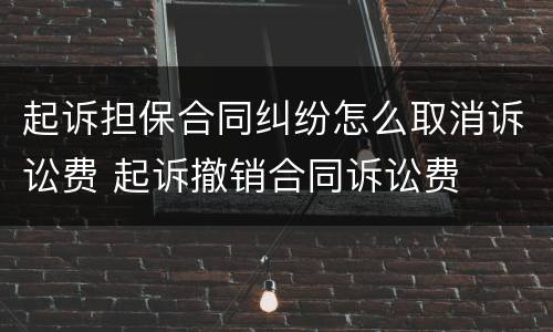 起诉担保合同纠纷怎么取消诉讼费 起诉撤销合同诉讼费
