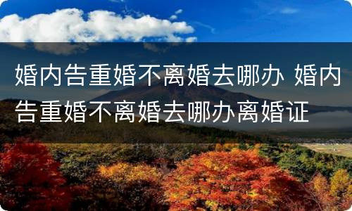 婚内告重婚不离婚去哪办 婚内告重婚不离婚去哪办离婚证