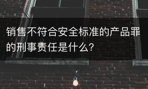 销售不符合安全标准的产品罪的刑事责任是什么？