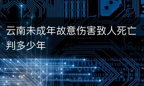 云南未成年故意伤害致人死亡判多少年