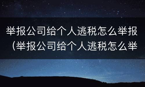 举报公司给个人逃税怎么举报（举报公司给个人逃税怎么举报他）