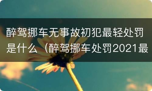醉驾挪车无事故初犯最轻处罚是什么（醉驾挪车处罚2021最新标准）