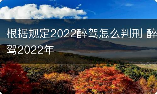 根据规定2022醉驾怎么判刑 醉驾2022年