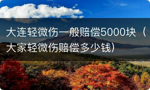大连轻微伤一般赔偿5000块（大家轻微伤赔偿多少钱）