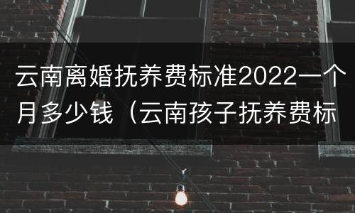 云南离婚抚养费标准2022一个月多少钱（云南孩子抚养费标准2019）