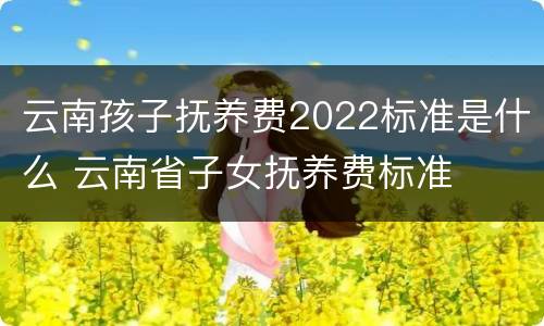 云南孩子抚养费2022标准是什么 云南省子女抚养费标准