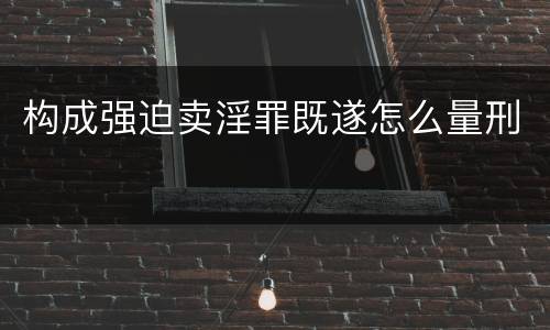 构成强迫卖淫罪既遂怎么量刑