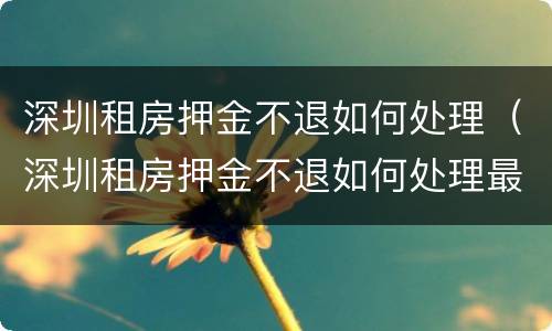 深圳租房押金不退如何处理（深圳租房押金不退如何处理最新消息）