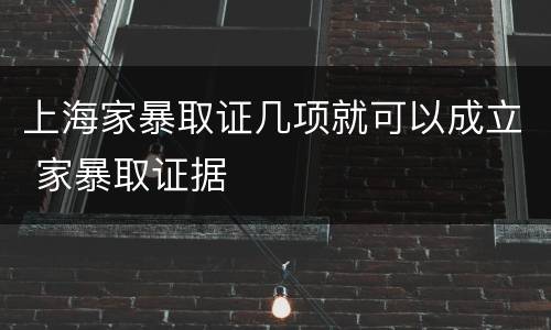 上海家暴取证几项就可以成立 家暴取证据
