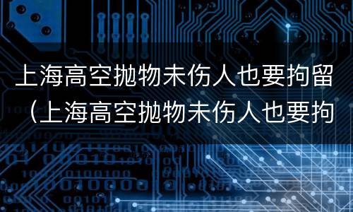 上海高空抛物未伤人也要拘留（上海高空抛物未伤人也要拘留么）