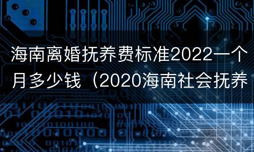 海南离婚抚养费标准2022一个月多少钱（2020海南社会抚养费多少钱）