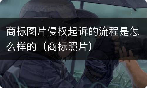 商标图片侵权起诉的流程是怎么样的（商标照片）