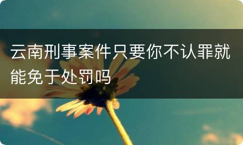 云南刑事案件只要你不认罪就能免于处罚吗