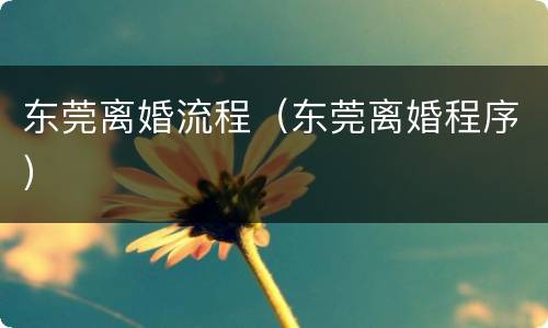 东莞离婚流程（东莞离婚程序）