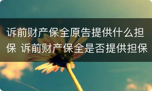 诉前财产保全原告提供什么担保 诉前财产保全是否提供担保由谁决定