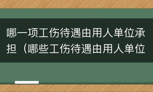 哪一项工伤待遇由用人单位承担（哪些工伤待遇由用人单位支付）