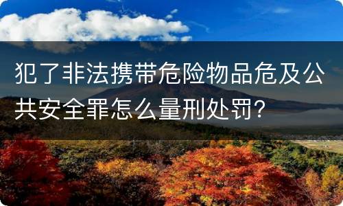 犯了非法携带危险物品危及公共安全罪怎么量刑处罚？