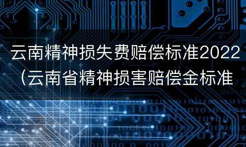 云南精神损失费赔偿标准2022（云南省精神损害赔偿金标准）