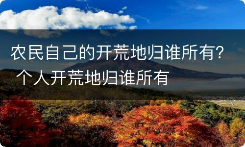 农民自己的开荒地归谁所有？ 个人开荒地归谁所有