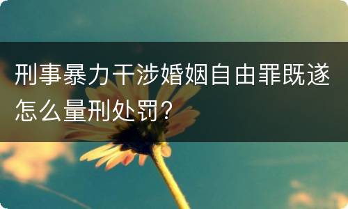 刑事暴力干涉婚姻自由罪既遂怎么量刑处罚?