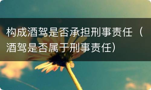构成酒驾是否承担刑事责任（酒驾是否属于刑事责任）