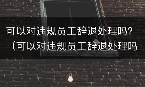可以对违规员工辞退处理吗？（可以对违规员工辞退处理吗怎么写）