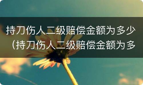 持刀伤人二级赔偿金额为多少（持刀伤人二级赔偿金额为多少元）