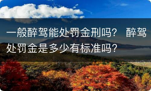 一般醉驾能处罚金刑吗？ 醉驾处罚金是多少有标准吗?