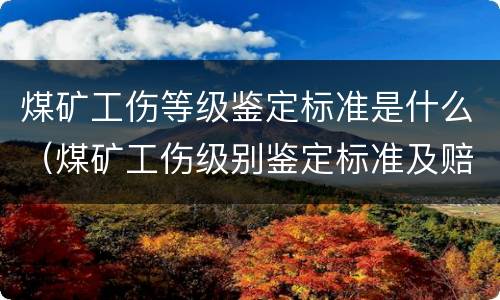 煤矿工伤等级鉴定标准是什么（煤矿工伤级别鉴定标准及赔偿）