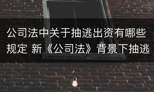 公司法中关于抽逃出资有哪些规定 新《公司法》背景下抽逃出资及其法律责任