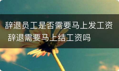 辞退员工是否需要马上发工资 辞退需要马上结工资吗